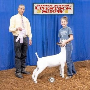 Meet your Posher, Michelle